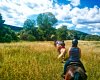 IMG_20150621_154318