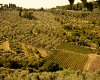 Wine_and_Olive_Oil_Trail_123_pdskec?_a=BACAEuGT