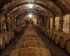 Tuscany_Wine_Olive_oil_trail_2_sgwy0r?_a=BACAEuGT