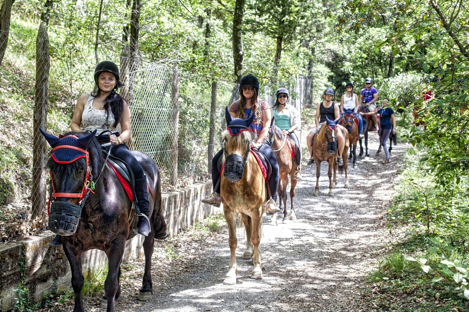 Private Horseback Riding Near Florence And Wine Tasting Italy Tickets