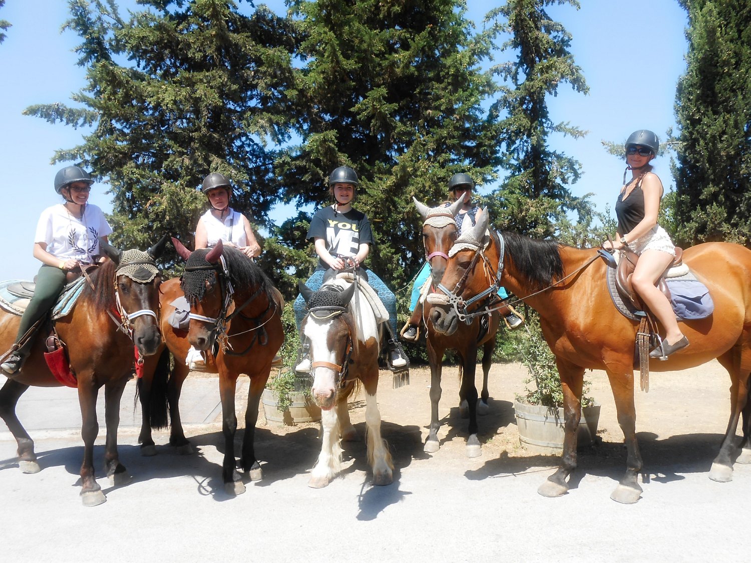 Private Horseback Riding Near Florence And Wine Tasting Italy Tickets