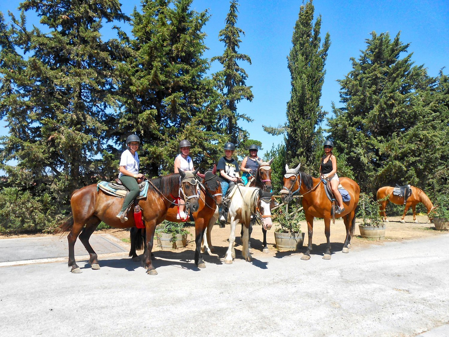 Private Horseback Riding Near Florence And Wine Tasting Italy Tickets