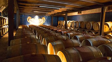 Chianti tour between wine and oilve oil (small group tour) ❒ Italy Tickets
