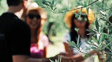 Trekking in Tuscany with lunch (small group tour) ❒ Italy Tickets
