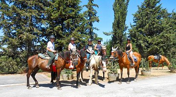Paseo a caballo entre los viñedos de Chianti (Inglés) ❒ Italy Tickets