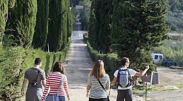 Private Trekking in Tuscany with lunch ❒ Italy Tickets