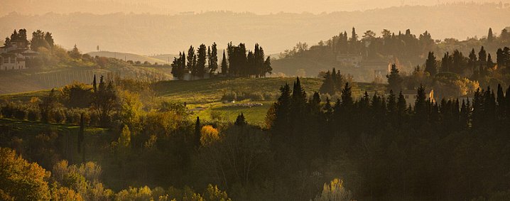 Raccolta funghi Toscana :: autunno in Toscana