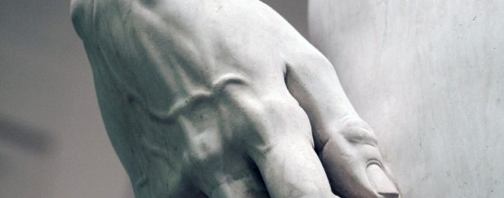 David und die Anatomie, Michelangelo und das Studium der Leichen ❒ Italy Tickets