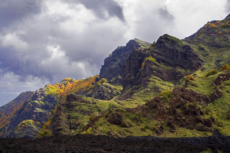 dkN12GD1SHC7jJYUdeFW