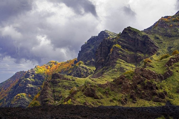 WrYvtVqrTXC44jQjZv7A