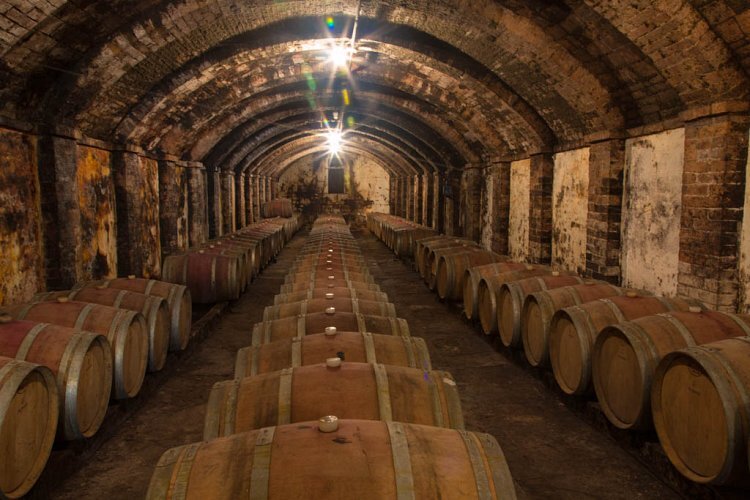 Tuscany_Wine_Olive_oil_trail_2_sgwy0r?_a=BACAEuGT