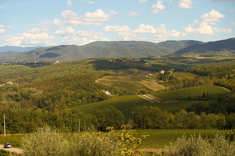 Wine_and_Olive_Oil_Trail_283_oa5wg2?_a=BACAEuGT